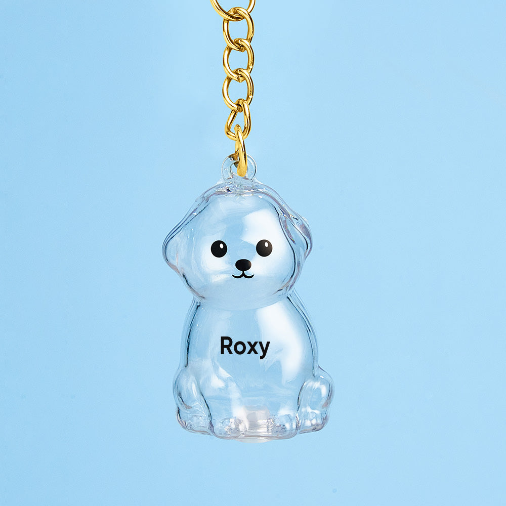 Custom Name Dog Hair Collector Keychain Bag Charm Memorial Storage Box with Text Perfect for Storing Pet Hair Gift for Dog Lovers