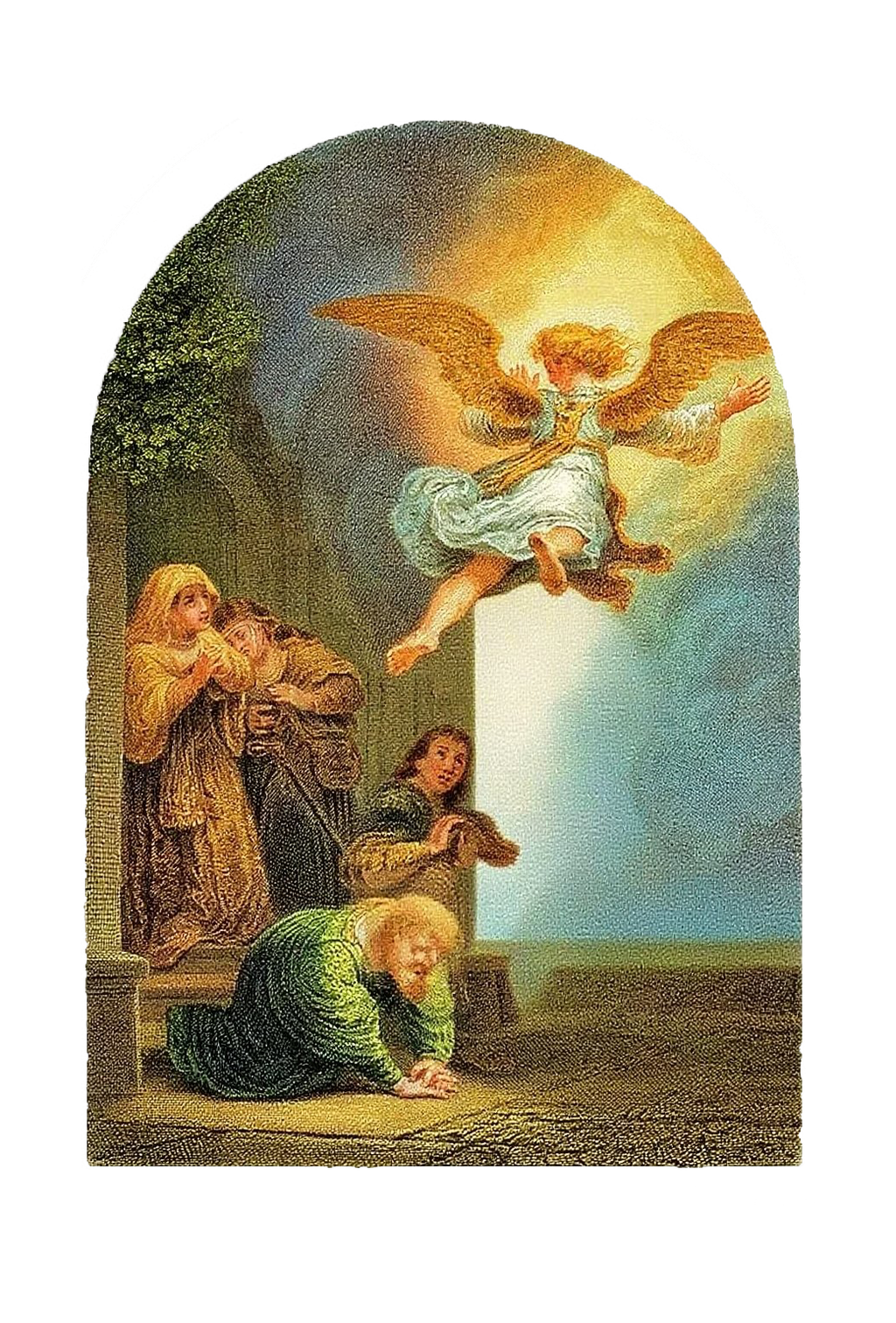 SeraphicRevelation Women's short-sleeved tops