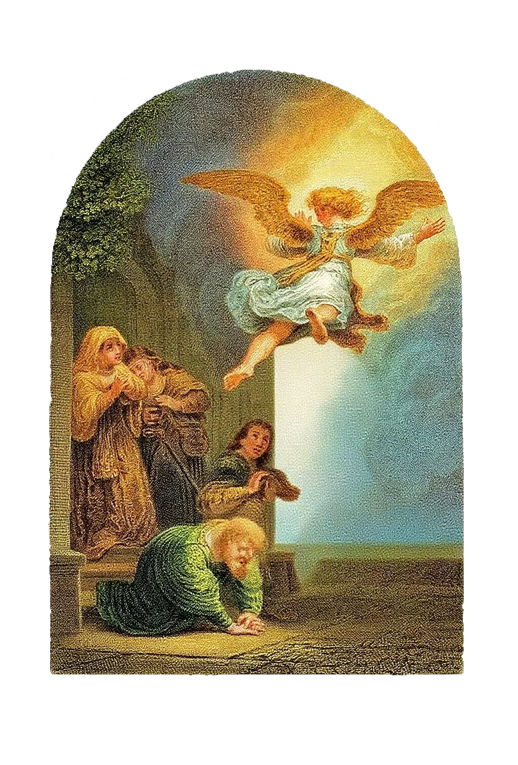 SeraphicRevelation Women's short-sleeved tops